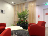 Artificial Palms in Planter Box for Office | ARTISTIC GREENERY