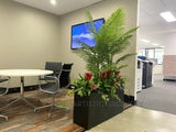 Artificial Palms in Planter Box for Office | ARTISTIC GREENERY