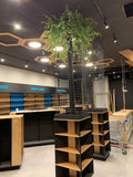 Stay Healthy (Belmont Forum) - Artificial Plants for Retail Display Commercial Fitout WA Perth | ARTISTIC GREENERY