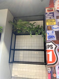 Burger 101 Rockingham - Artificial Plants for Display / Shelves | ARTISTIC GREENERY