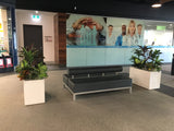 Banksia Grove Village Shopping Centre - Greenery Wall & Artificial Plants in Planters