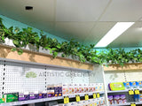 Optimal Pharmacy (South Lake WA) - Hanging Artificial Greenery for Built-in Selves | ARTISTIC GREENERY