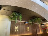 Chelsea Pizza (Nedlands) - Custom Designed Hanging Greenery Panels for Restaurant | ARTISTIC GREENERY