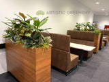Edith Cowan University (ECU) Joondalup - Building 19 Lobby area- Artificial Plants for Built-in Cabinets / Planters | ARTISTIC GREENERY