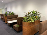 Edith Cowan University (ECU) Joondalup - Building 19 Lobby area- Artificial Plants for Built-in Cabinets / Planters | ARTISTIC GREENERY