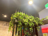 Shen's Massage Meville  - Hanging Greenery for Built-in Planters