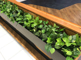 Caffissimo Cafe Rockingham - Small Greenery for Built-in Planters