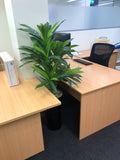 Increva (Mt Pleasant) - Artificial Plants for Office