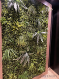 Shen's Massage Joondalup - Greenery Wall & Hanging Greenery for Built-in Planters