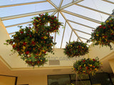 Roshana Care Group (Burswood) - Hanging Floral Wreaths & Flower Arrangement Perth WA Australia | ARTISTIC GREENERY