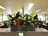 CHC Helicopter - Greenery Wall & Planter for Cabinets