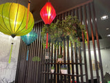 Shen's Massage Joondalup - Greenery Wall & Hanging Greenery for Built-in Planters