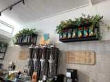 Port City Roasters (South Fremantle) - Artificial Plants for Display Shelves & Hanging Baskets with Plants