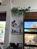 Port City Roasters (South Fremantle) - Artificial Plants for Display Shelves & Hanging Baskets with Plants