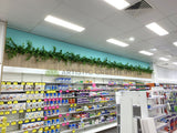 Optimal Pharmacy (Midland WA) - Hanging Artificial Greenery for Built-in Selves | ARTISTIC GREENERY