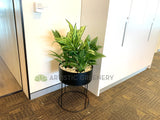 Schlumberger Australia (Perth) - Greenery Wall & Plants for Tambour Units | ARTISTIC GREENERY