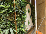 P&N Bank Mandurah - Vertical Garden Feature Faux Greenery Wall | ARTISTIC GREENERY