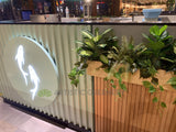 Sushi Sushi (Midland) - Mixture of Greenery for Built-in Planters | ARTISTIC GREENERY