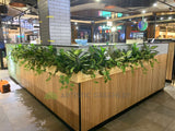 Sushi Sushi (Midland) - Mixture of Greenery for Built-in Planters | ARTISTIC GREENERY