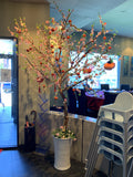 Aquarium Seafood Chinese Restaurant (Ascot) - Artificial Pink Blossom Tree