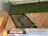 Smash Grill (FOMO FREO) Fremantle - Feature Wall & Creeping Greenery | ARTISTIC GREENERY