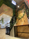 Smash Grill (FOMO FREO) Fremantle - Feature Wall & Creeping Greenery | ARTISTIC GREENERY