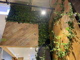 Smash Grill (FOMO FREO) Fremantle - Feature Wall & Creeping Greenery | ARTISTIC GREENERY