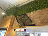 Smash Grill (FOMO FREO) Fremantle - Feature Wall & Creeping Greenery | ARTISTIC GREENERY