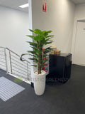 Metso Outotect (Bayswater) - Artificial Plants for Tambour Units & Potted Plant | ARTISTIC GREENERY