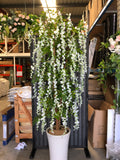 T0070-210cm artificial wisteria tree white flowers