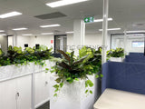 Department of Fire and Emergency Services (DFES) O'Connor - Artificial Plants for Tambour Units | ARTISTIC GREENERY