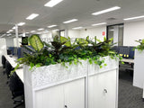 Department of Fire and Emergency Services (DFES) O'Connor - Artificial Plants for Tambour Units | ARTISTIC GREENERY