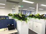 Department of Fire and Emergency Services (DFES) O'Connor - Artificial Plants for Tambour Units | ARTISTIC GREENERY