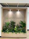 Ramsay Health Care (Mount Pleasant) - Artificial Plants for Reception & throughout the Clinic | ARTISTIC GREENERY