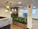 Ramsay Health Care (Mount Pleasant) - Artificial Plants for Reception & throughout the Clinic | ARTISTIC GREENERY