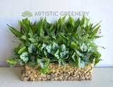 AAAC Towing (Welshpool) - Artificial Greenery Wall & Plants throughout Office