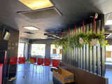 KFC (Maylands) - Macrame Plant Hangers | ARTISTIC GREENERY