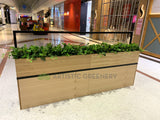 Caffissimo Cafe Kiosk Whitford  - Small Greenery for Built-in Planters / Booths | ARTISTIC GREENERY Commerical Fitout with Artificial Plants WA
