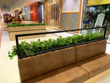 Caffissimo Cafe Kiosk Whitford  - Small Greenery for Built-in Planters / Booths | ARTISTIC GREENERY Commerical Fitout with Artificial Plants WA