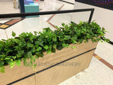 Caffissimo Cafe Kiosk Whitford  - Small Greenery for Built-in Planters / Booths | ARTISTIC GREENERY Commerical Fitout with Artificial Plants WA