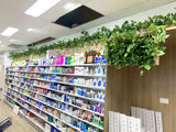 Optimal Pharmacy (Geraldton) - Hanging Artificial Greenery | ARTISTIC GREENERY