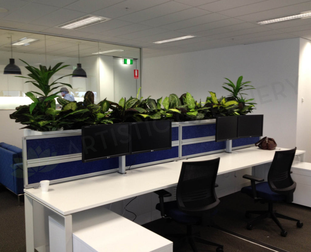 Iluka Artificial Plants for Filing Office Tambour Unit with