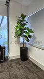 Jani King (Osborne Park) - Artificial Trees in Pots Throughout Office | ARTISTIC GREENERY