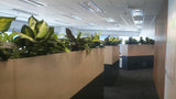 Japan MIMI - Office Planter Partitions with Silk Dieff. Plants