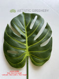 LEA0016 Split Philo / Monstera Leaf  Green 2 Sizes
