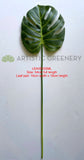 LEA0016 Split Philo / Monstera Leaf  Green 2 Sizes