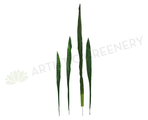 LEA0042 Snake Plant Single Leaf & LEA0041 Flax Single Leaf