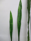 LEA0042 Snake Plant Single Leaf & LEA0041 Flax Single Leaf