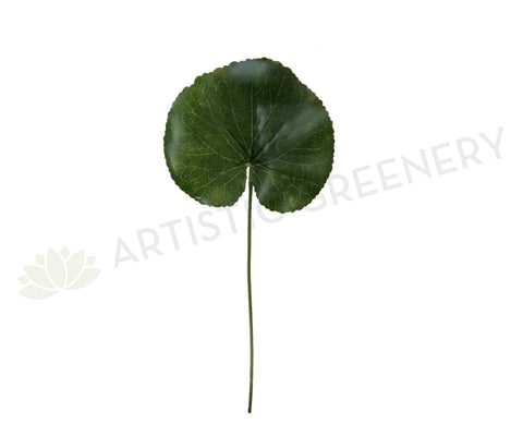 LEA0040 Single Lotus Leaf 30cm Green