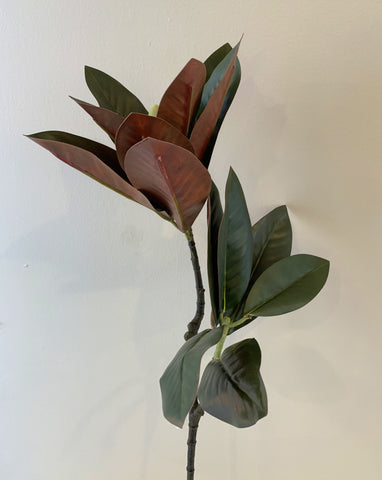 LEA0046S Magnolia Leaves (Branch) 88cm 2 branches $22